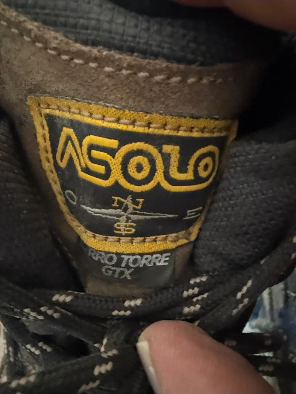 Asolo Taupe Suede Hiking Boots with Black Trim